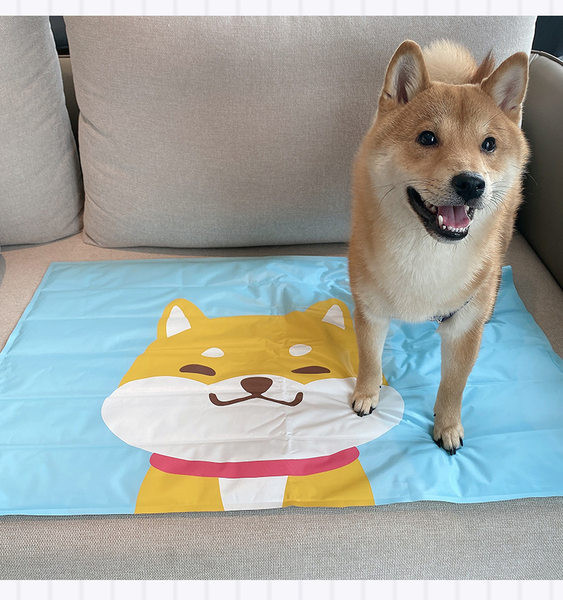 Aplikatsiooniga padi koertele