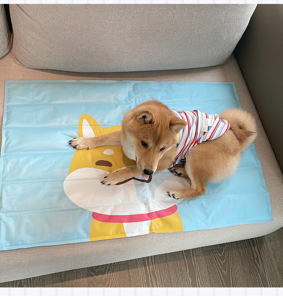 Aplikatsiooniga padi koertele