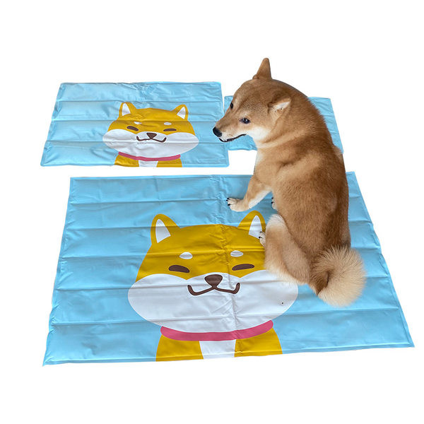 Aplikatsiooniga padi koertele