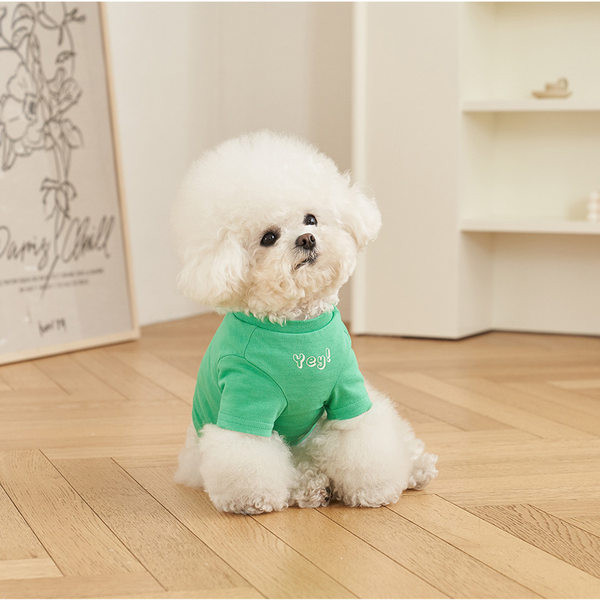 Bluză cu inscripție în trei culori