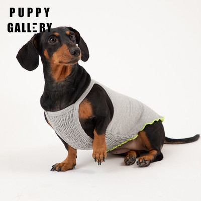 Puuvillane topp koertele