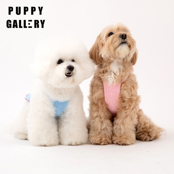 Puuvillane topp koertele