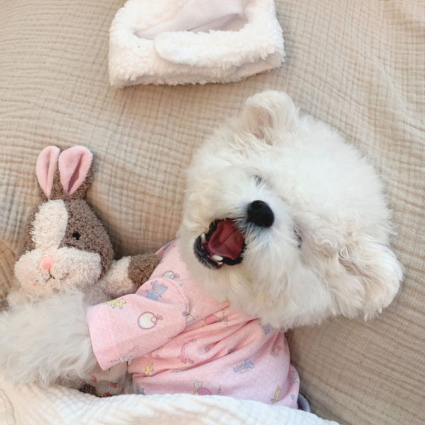 Bluza cu imprimeu pentru caini - culoare roz