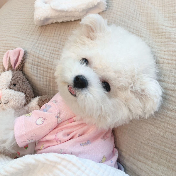 Bluza cu imprimeu pentru caini - culoare roz