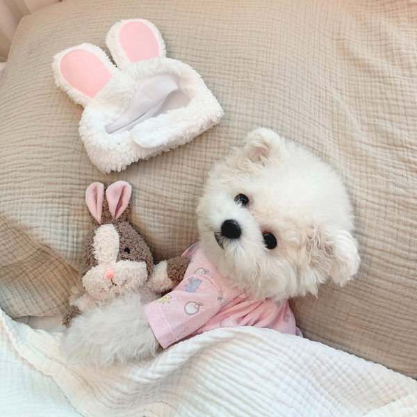 Bluza cu imprimeu pentru caini - culoare roz