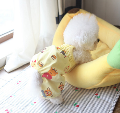 Värvilised kombinesoonid koertele