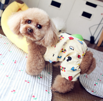 Värvilised kombinesoonid koertele