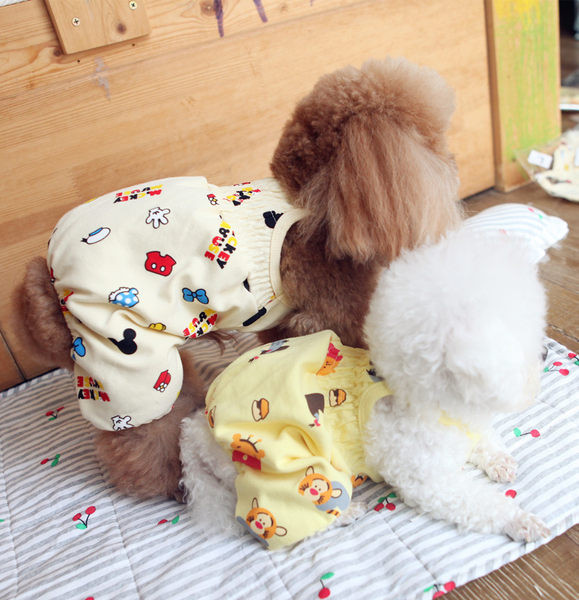 Värvilised kombinesoonid koertele