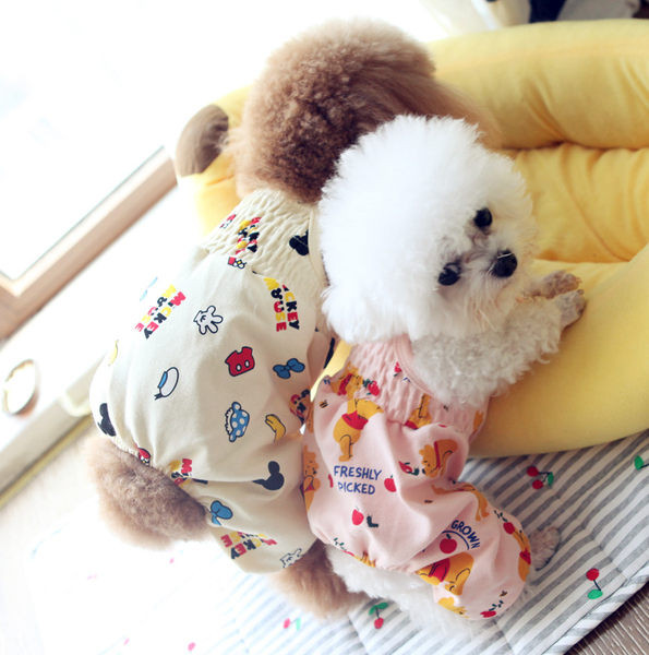 Värvilised kombinesoonid koertele