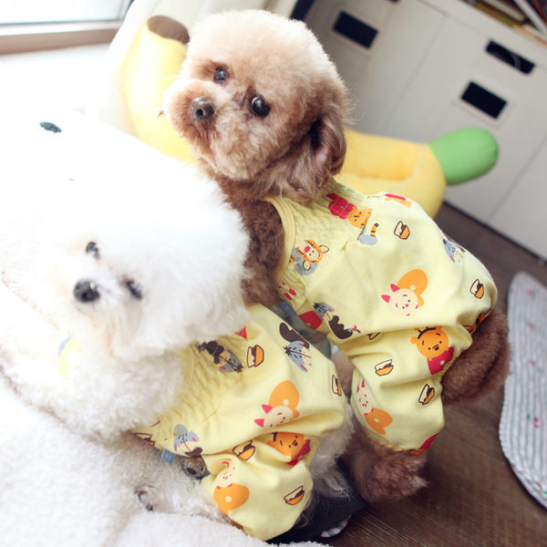 Värvilised kombinesoonid koertele