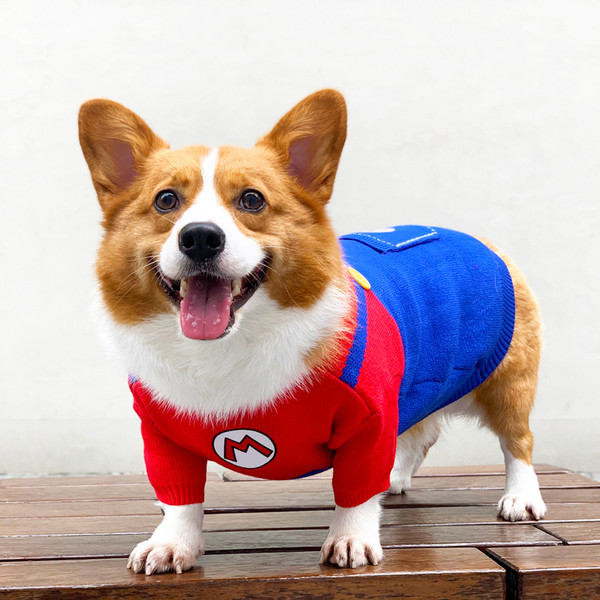 Pulover pentru caini de talie mica