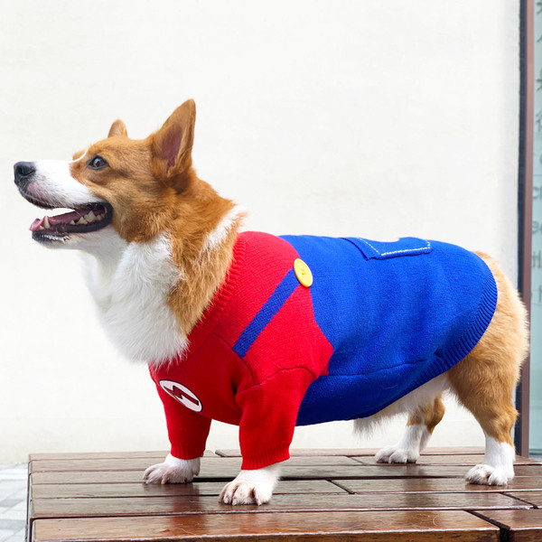 Pulover pentru caini de talie mica