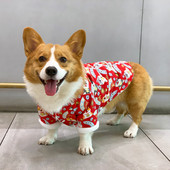 Îmbrăcăminte de toamnă-iarnă cu căptușeală caldă pentru câini