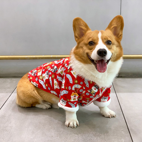 Îmbrăcăminte de toamnă-iarnă cu căptușeală caldă pentru câini