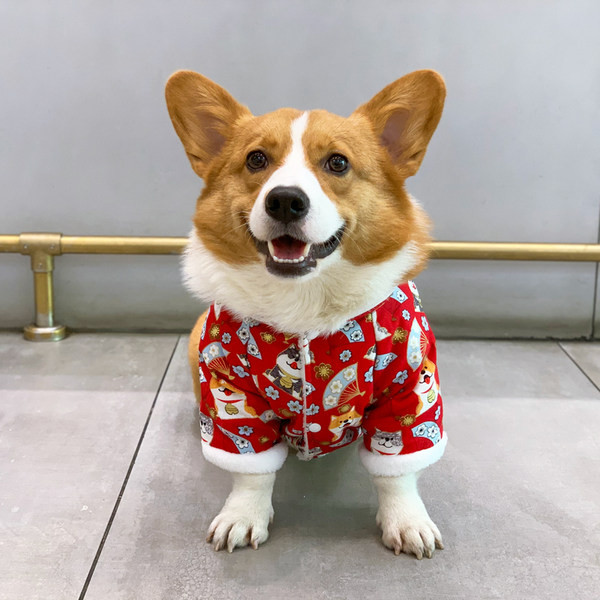 Îmbrăcăminte de toamnă-iarnă cu căptușeală caldă pentru câini