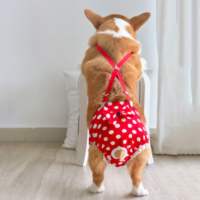 Traksidega koerapüksid