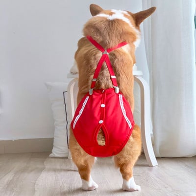 Traksidega koerapüksid