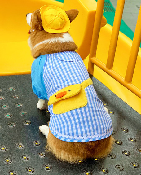 Bluză în carouri în albastru pentru câini