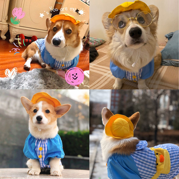 Bluză în carouri în albastru pentru câini