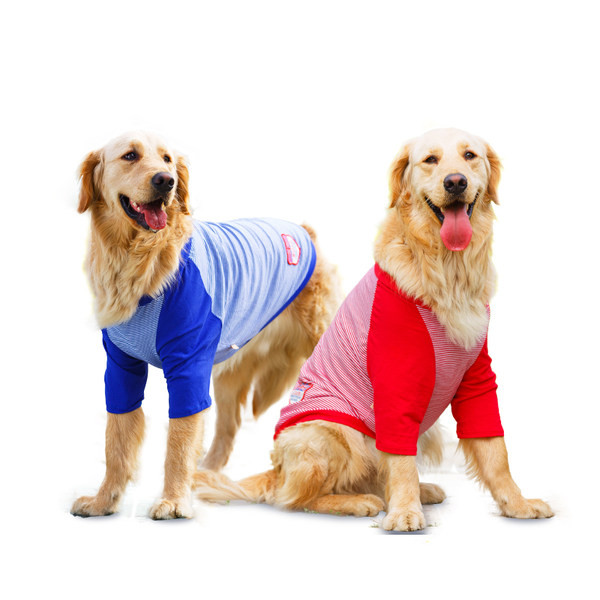 Koerariided - kaks mudelit