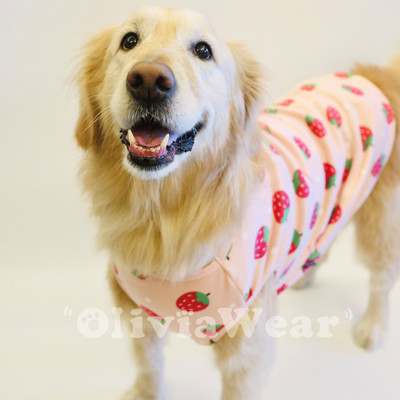 Tricou din bumbac cu model colorat - diferite modele