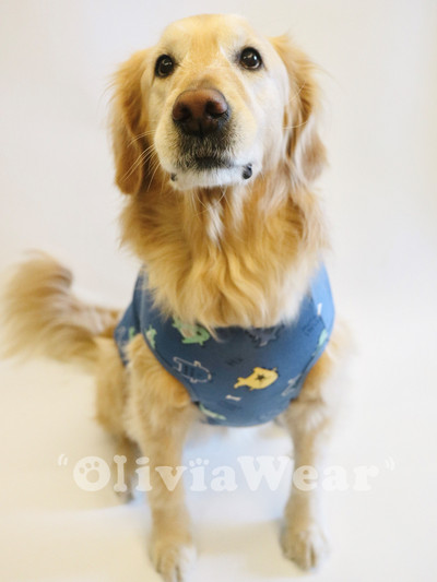 Tricou din bumbac cu model colorat - diferite modele