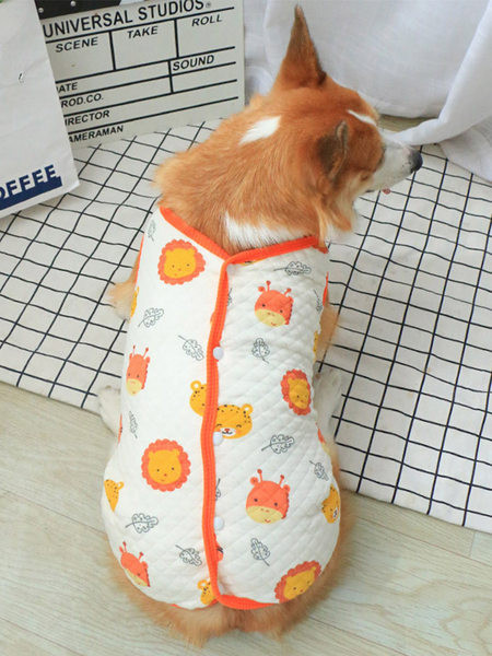 Haine colorate pentru câini