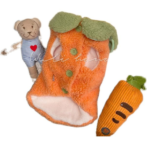 Moodne kahevärviline vest koertele