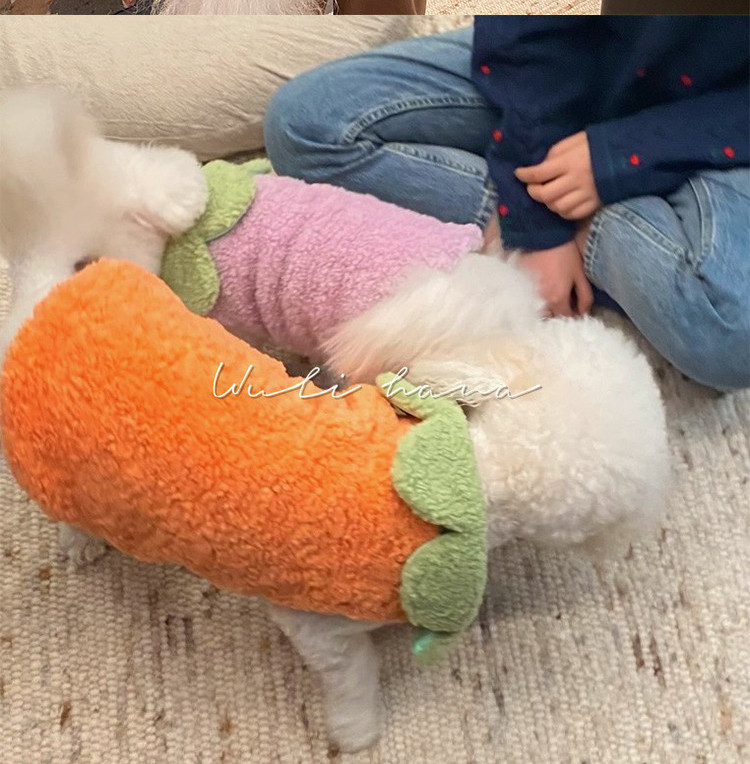 Moodne kahevärviline vest koertele