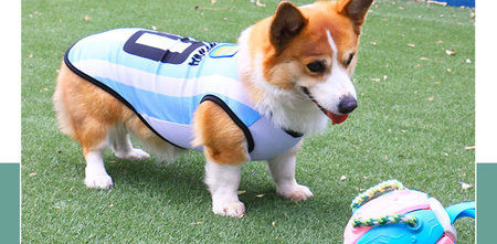 Bluza pentru caini in albastru