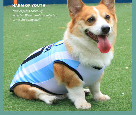 Bluza pentru caini in albastru