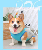 Sinist värvi velvetist keha koertele