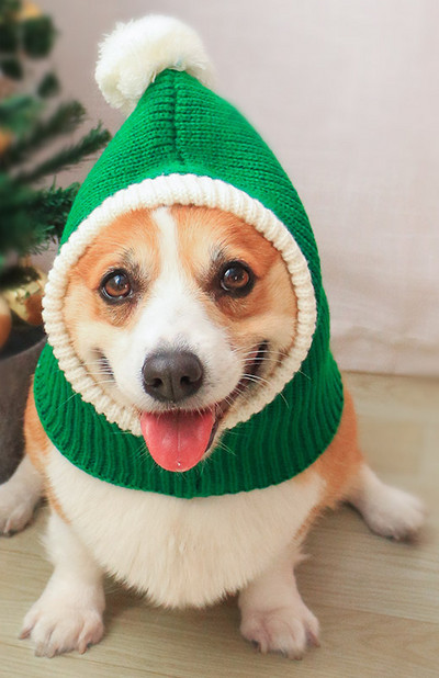 Palarie tricotata pentru caini