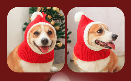 Palarie tricotata pentru caini