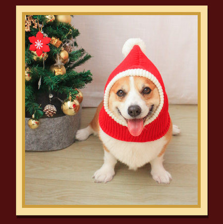 Palarie tricotata pentru caini