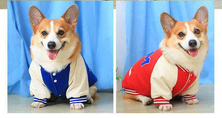 Jacheta pentru caini in albastru si rosu