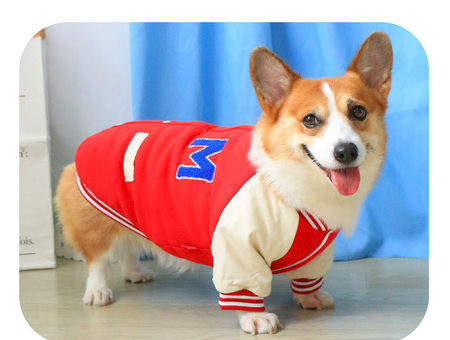 Jacheta pentru caini in albastru si rosu