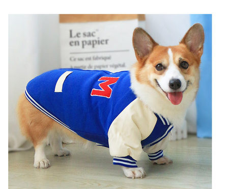 Jacheta pentru caini in albastru si rosu