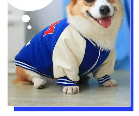 Jacheta pentru caini in albastru si rosu