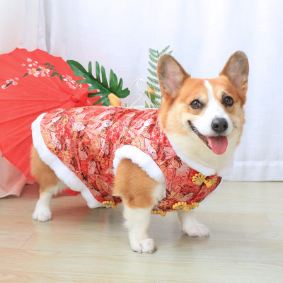 Talvine vest koertele