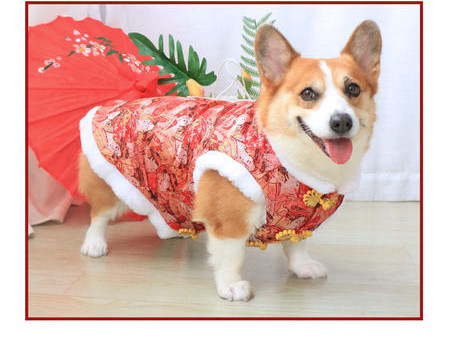 Talvine vest koertele