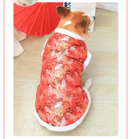 Talvine vest koertele