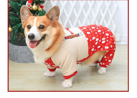 Îmbrăcăminte topică pentru câini în roșu