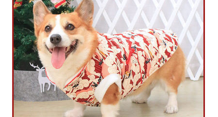 Rochie calduroasa de iarna cu model colorat