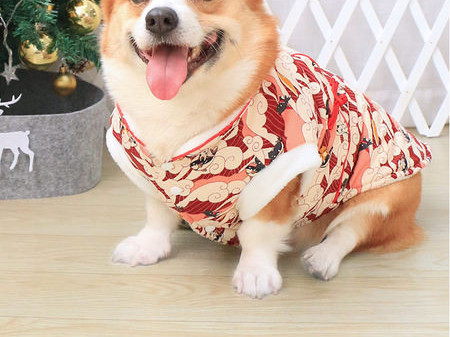 Rochie calduroasa de iarna cu model colorat