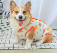 Vesta pentru caini cu model colorat