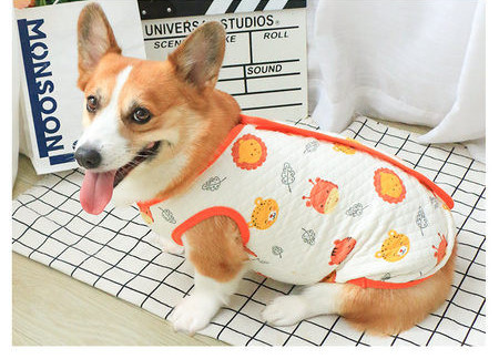 Vesta pentru caini cu model colorat