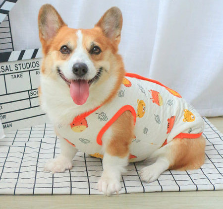 Vesta pentru caini cu model colorat