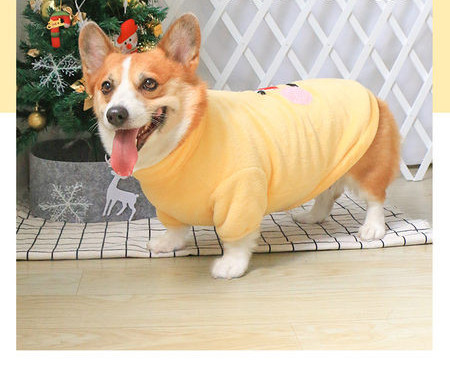 Zimska plišana odjeća za pse