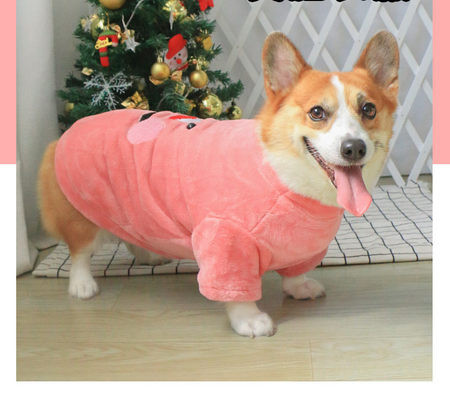 Zimska plišana odjeća za pse